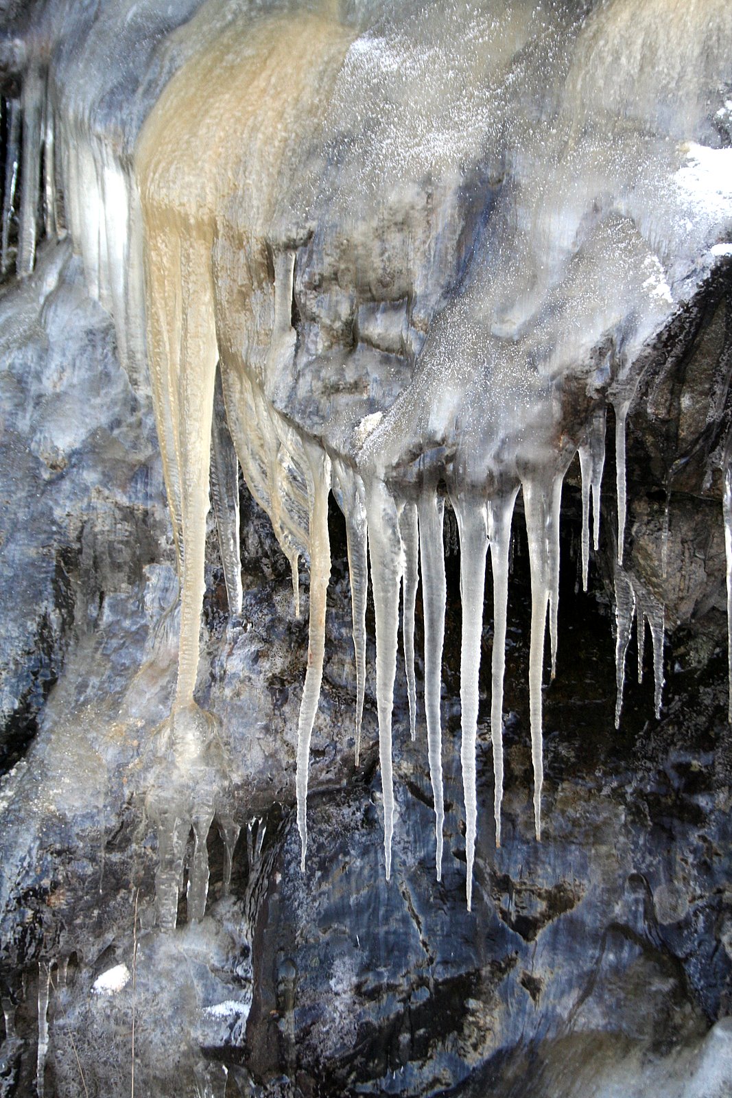 [IMG_0356.JPG]