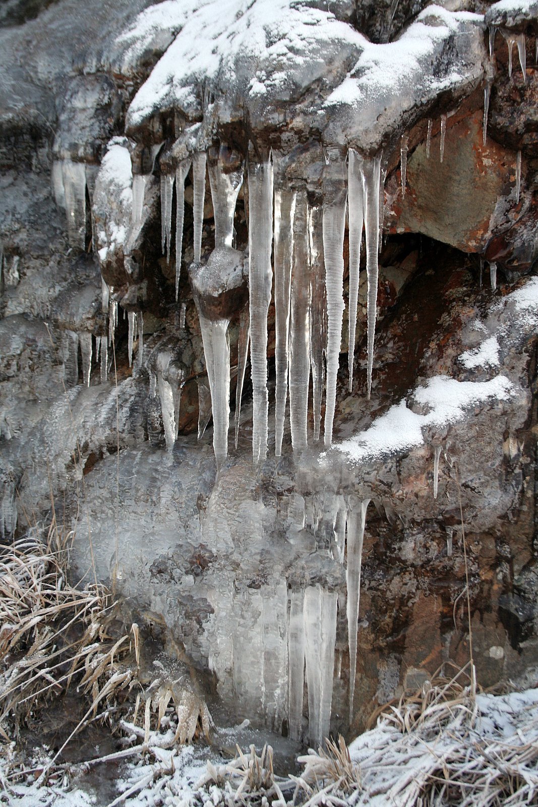 [IMG_0361.JPG]