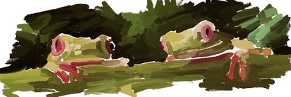 [frogs2.jpg]