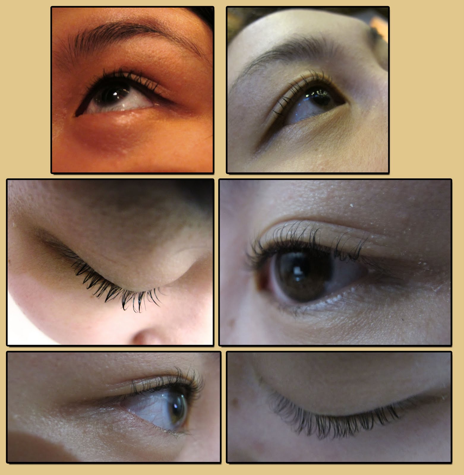 Makeup & Mia Perm Lashes at Let's Face It