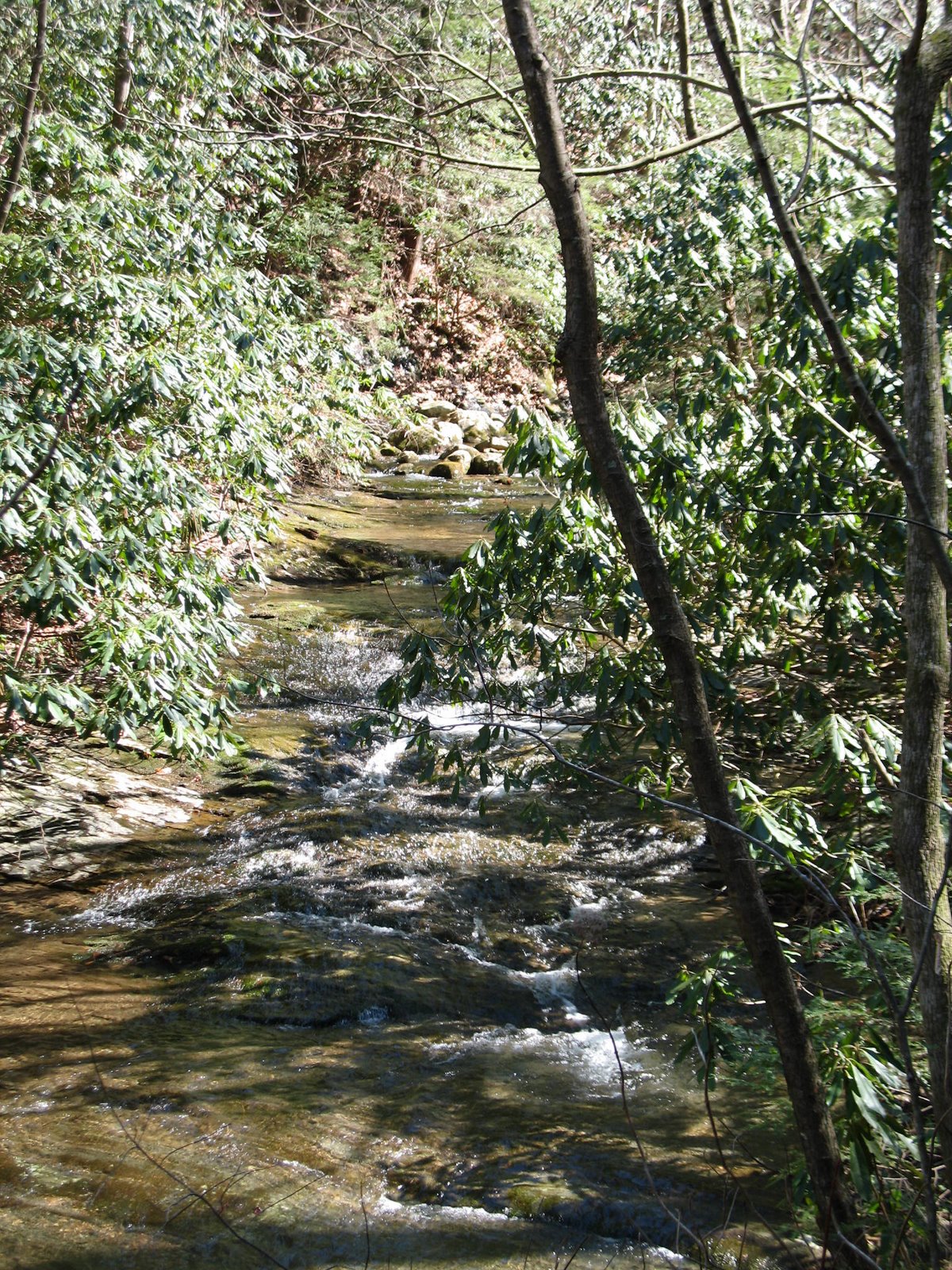 highland trails