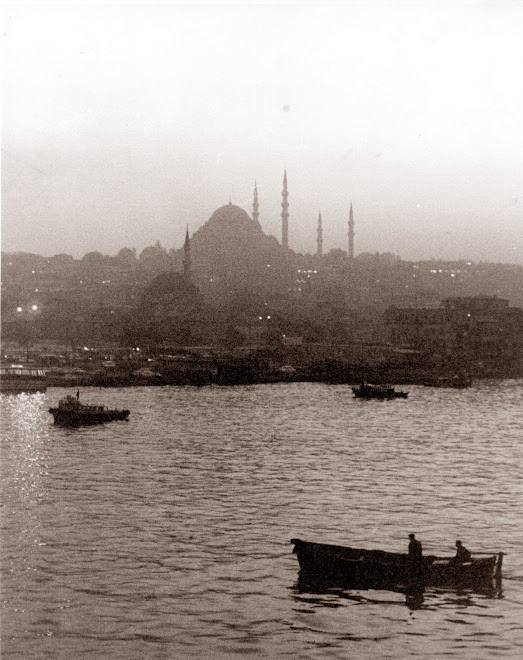 İSTANBUL HALİÇ