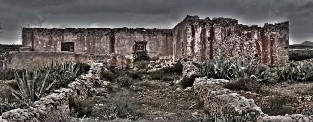 Esta imagen contiene copyright. El autor NO AUTORIZA ni la descarga ni la copia de la misma.