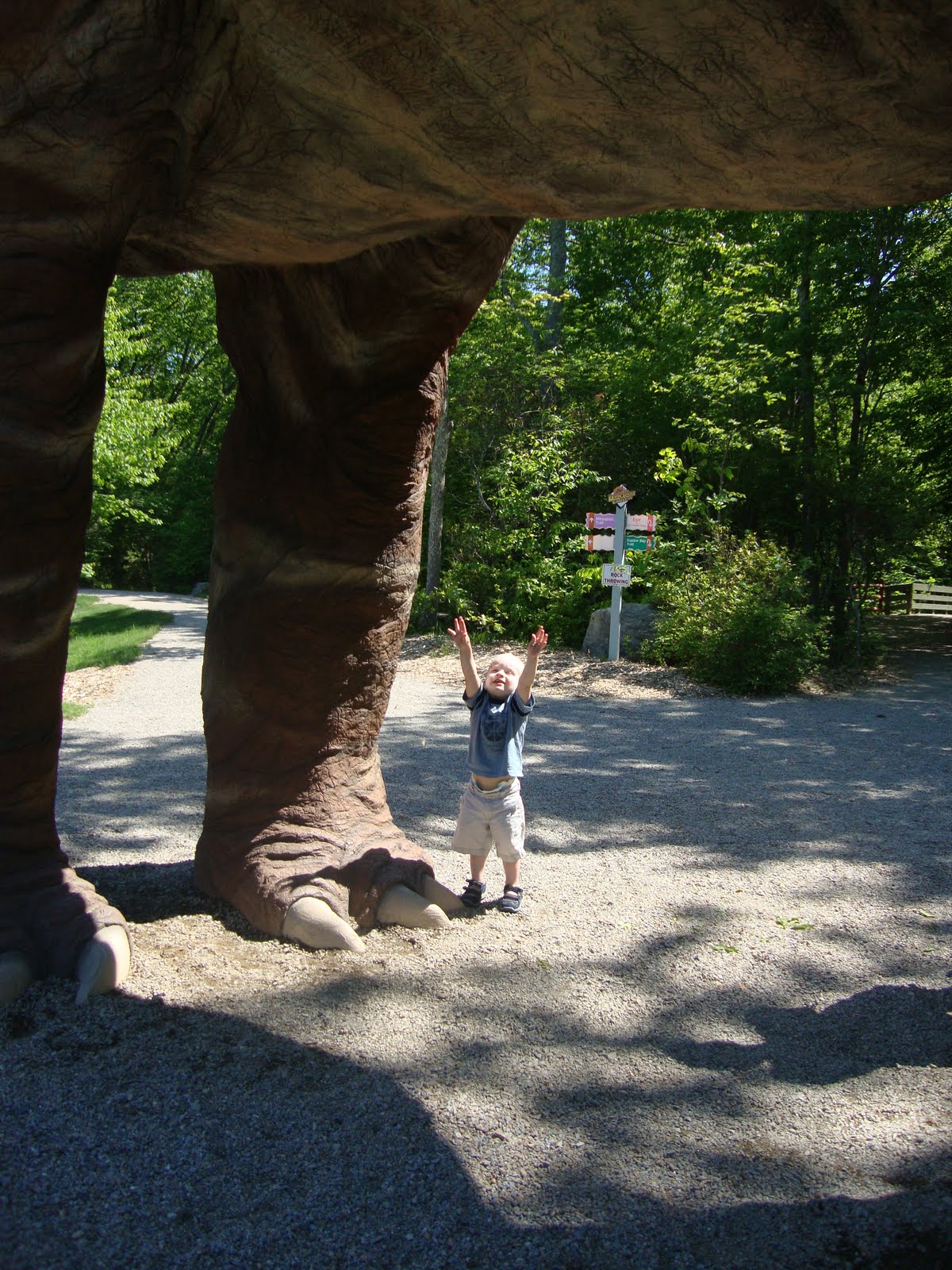 The Dinosaur Place