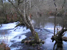 O RIO ARNEGO