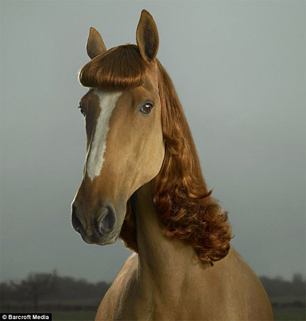 [BarbaraStanwick.jpg]