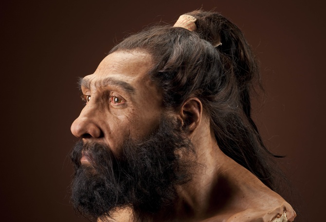 Neanderthal+dna+wiki