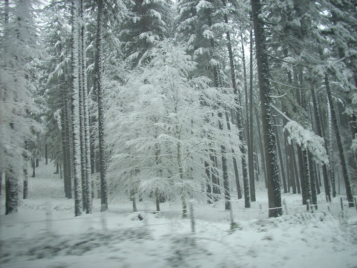 inverno 2010