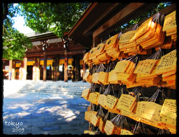 [IMG_0053_副本.jpg]