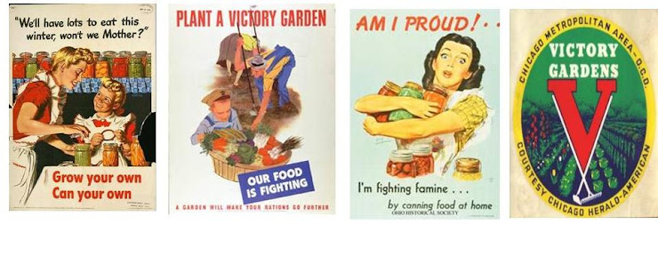 Our Food Is Fighting!