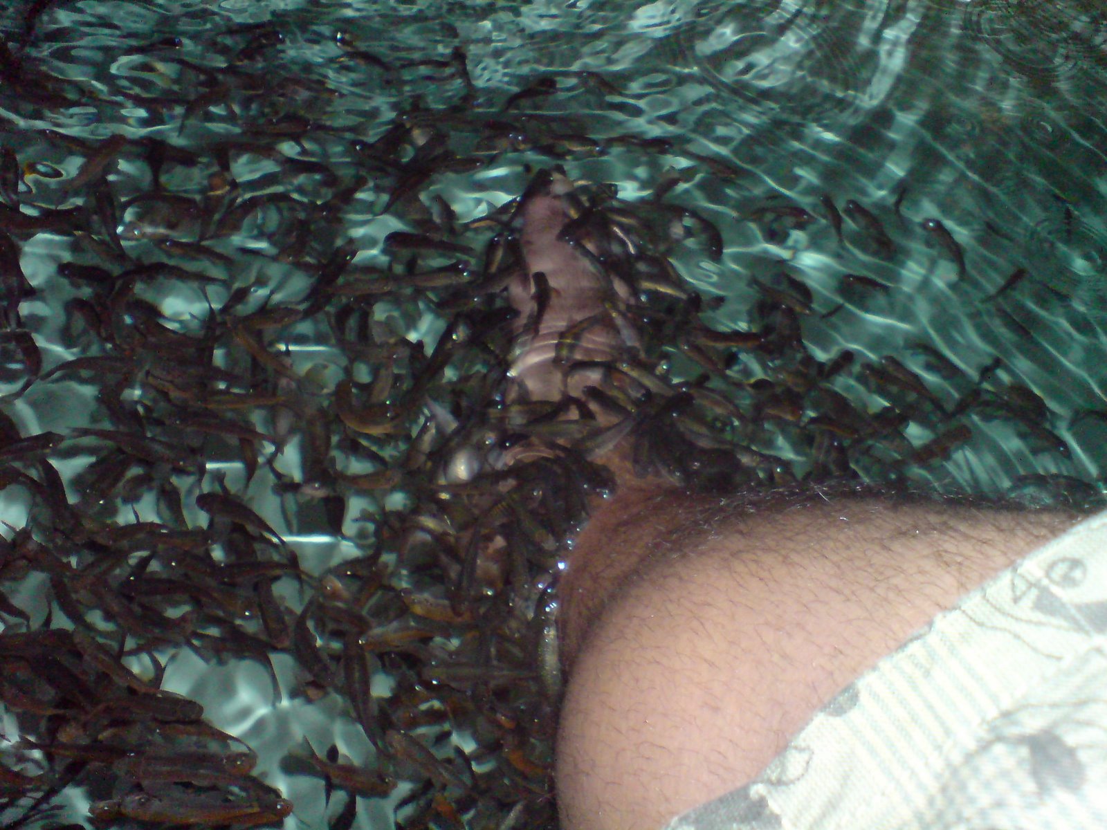 [DSC00278.JPG]