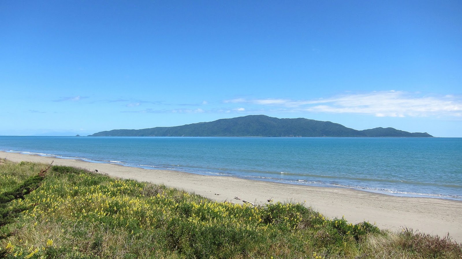 transpress nz summer on the Kapiti Coast