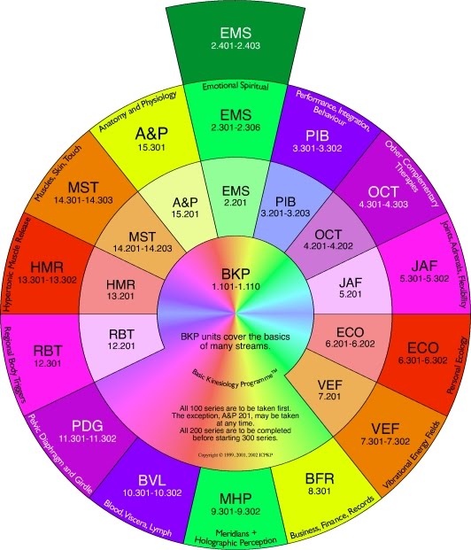 Kinesiology Emotion Chart