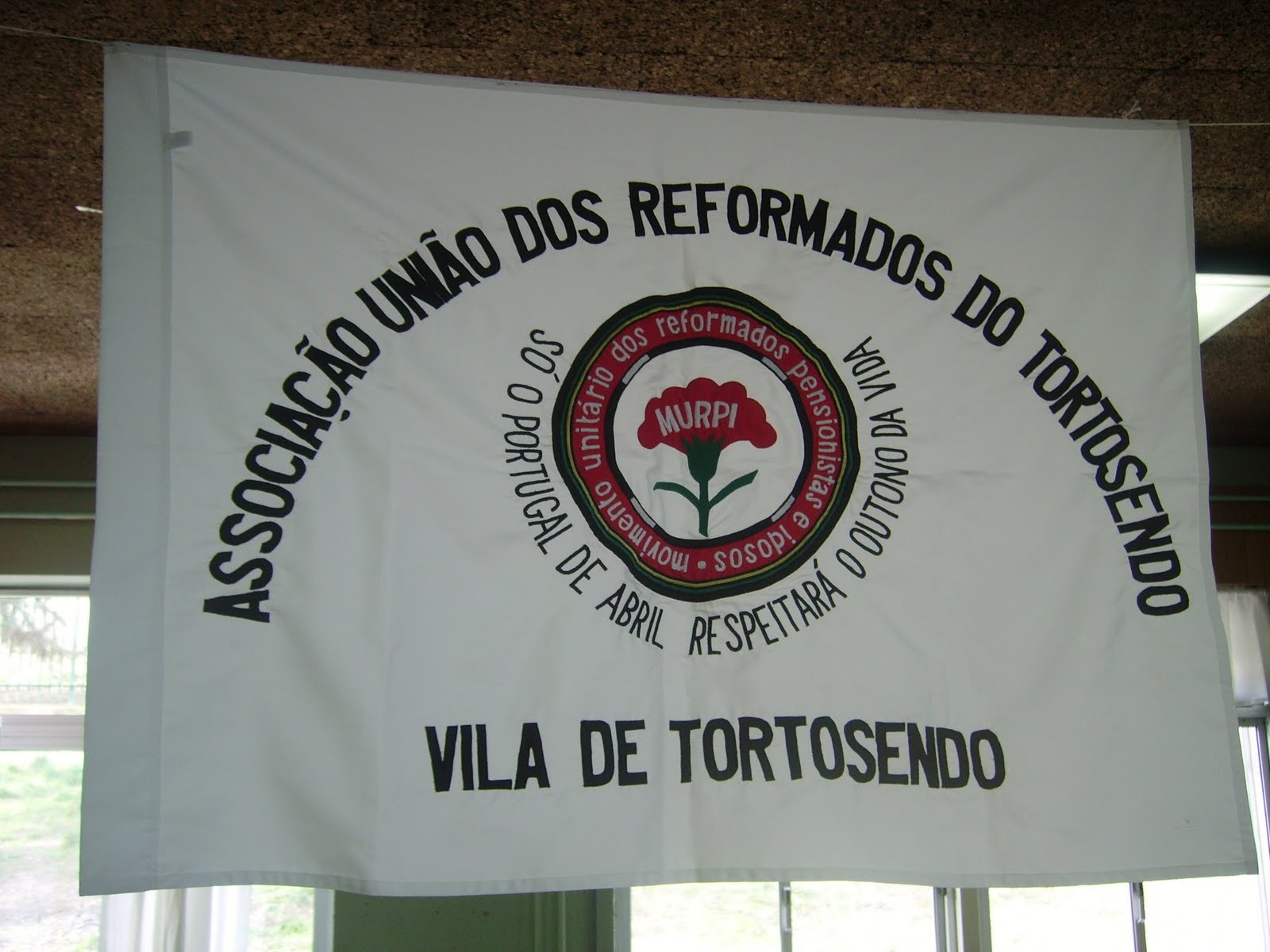 [IMGP3244.JPG]