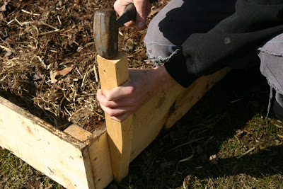 Question for those that bought SAMS club raised beds Raised+bed2