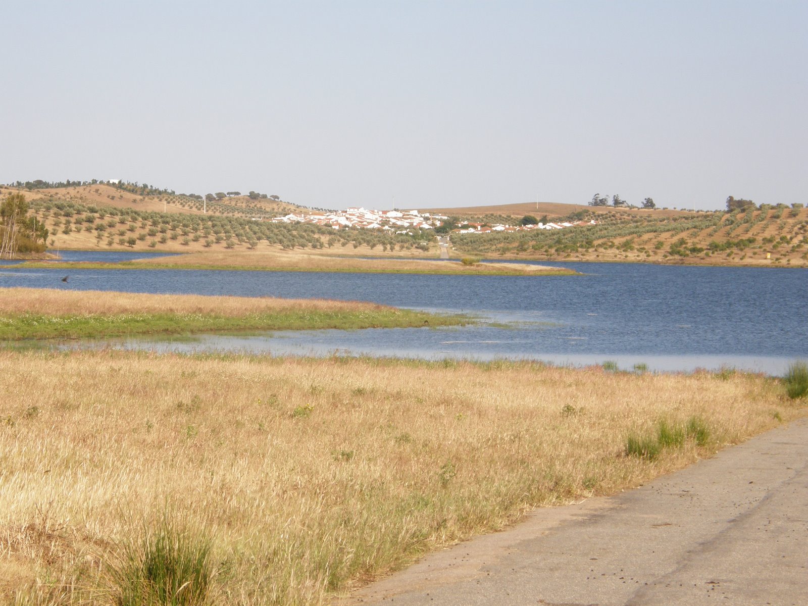 [P5170605.JPG]