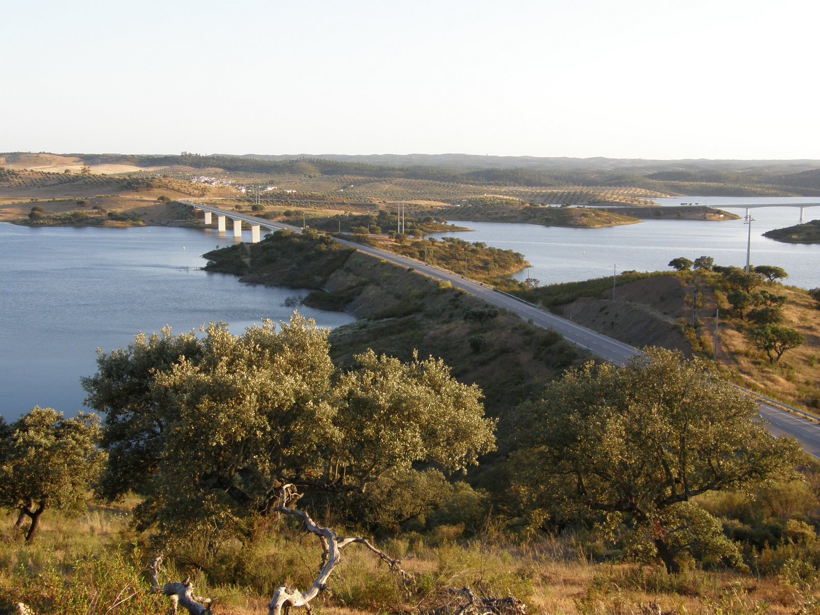 [P5170622.JPG]