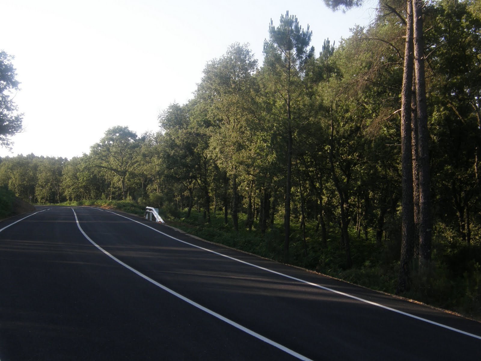 [P7120907.JPG]