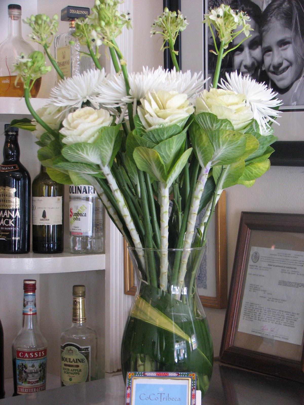 CoCoTribeca Tribeca Flowers of the Week