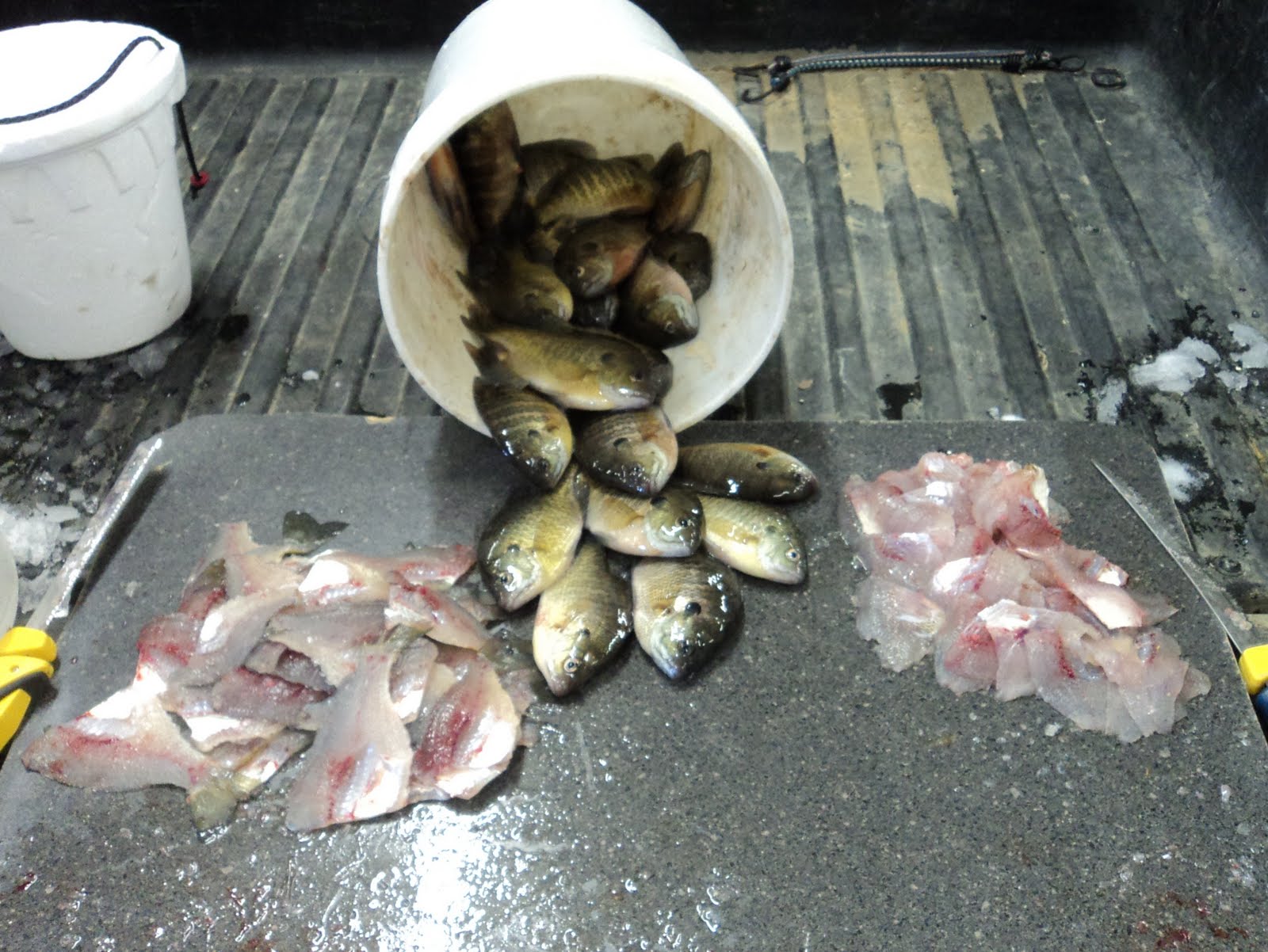 Herman Brothers Blog Ice Fishing For Meat!