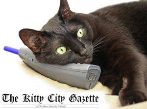 Customer Service Lolcat