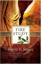 [fire_study_small2.jpg]