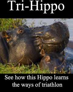 Tri-hippo