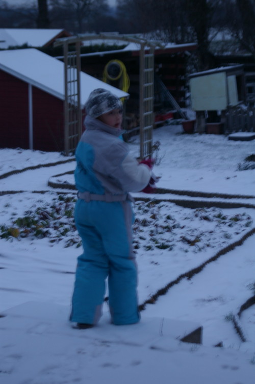 [Lotta+im+Schnee.JPG]