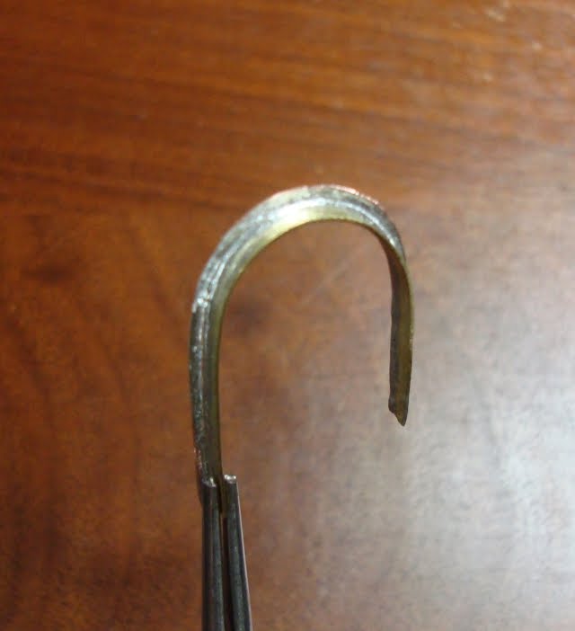 [DSC07134.jpg]