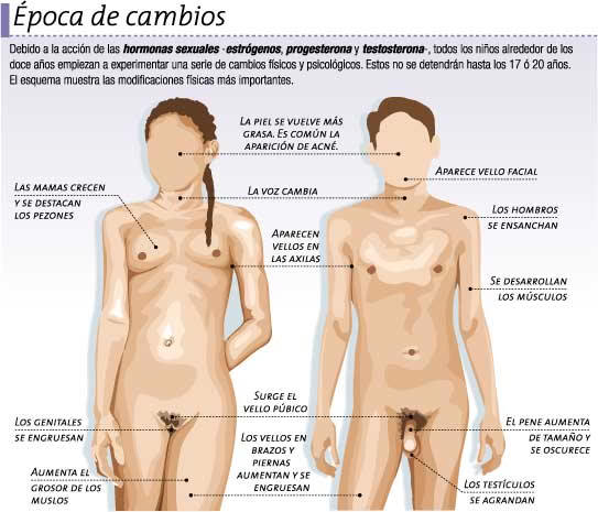 La máscara para la persona la clara de huevo y el aceite de oliva