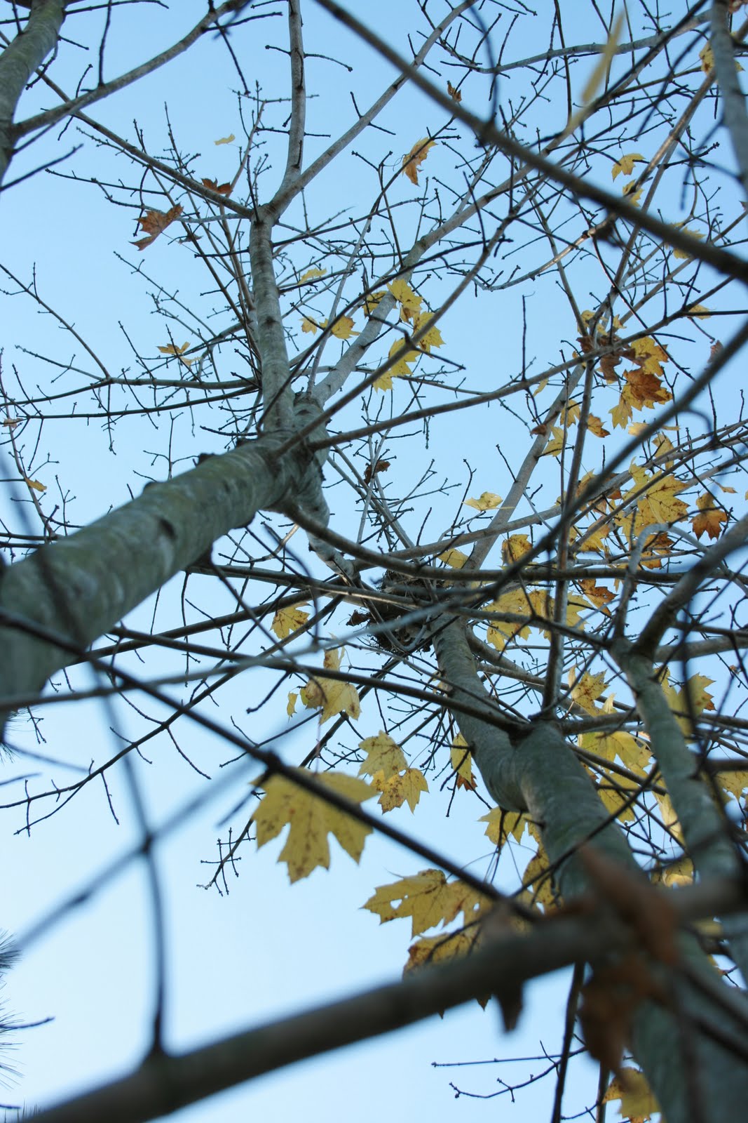 [IMG_0206.JPG]