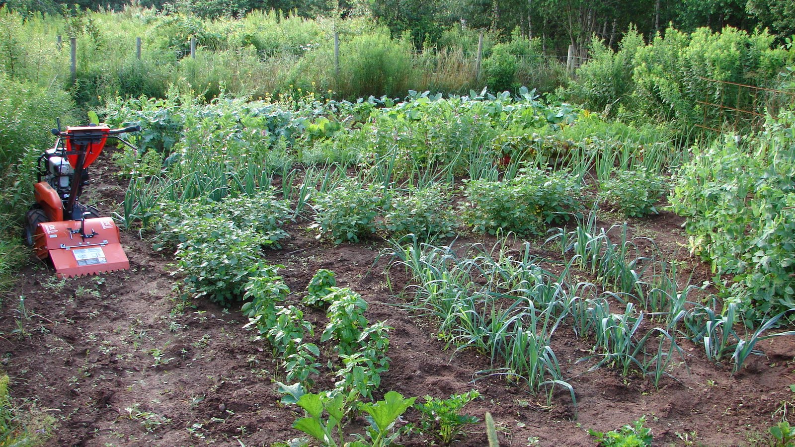 SoMaRo Worldtrip 2010/2011: A Wonderful Eco Farm