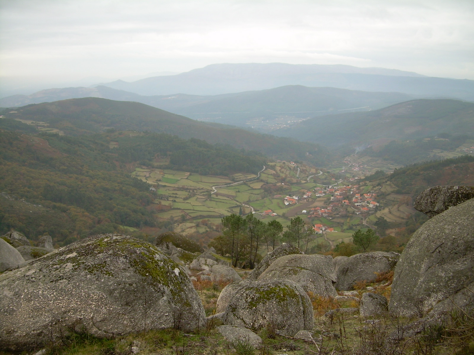[DSCN0478.JPG]