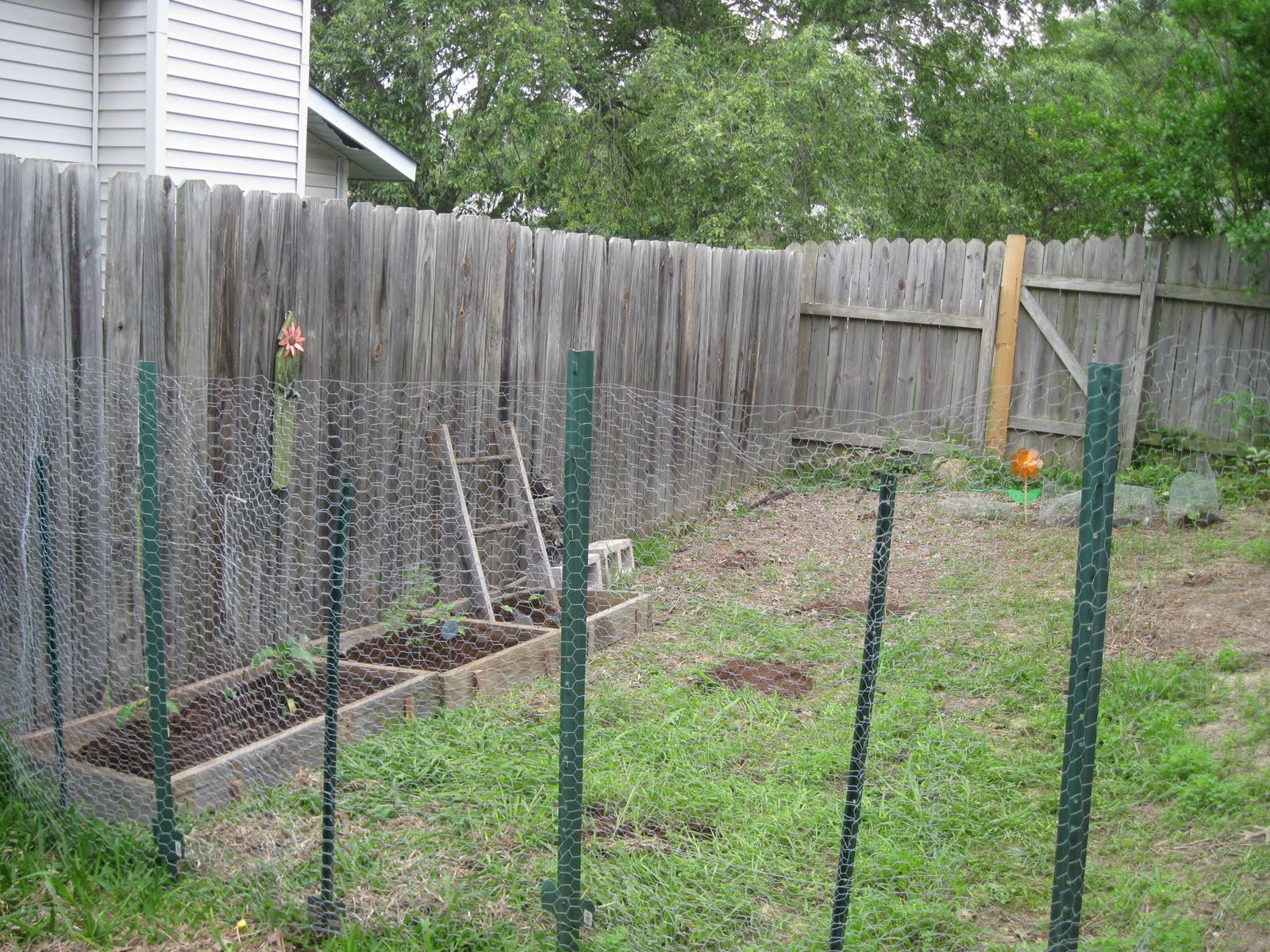 A Slice of Texas blog : Garden Coop