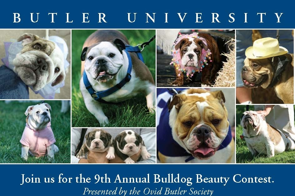 The Life and Times of Butler Blue II Announcing the 9th Annual Bulldog