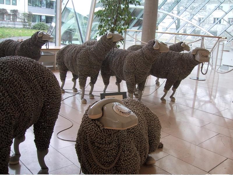 [sheep1.jpg]