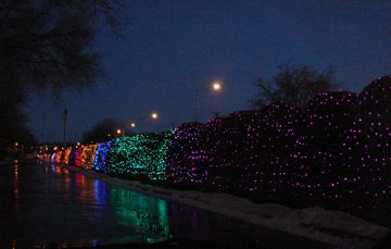 [DSC01701.JPG]