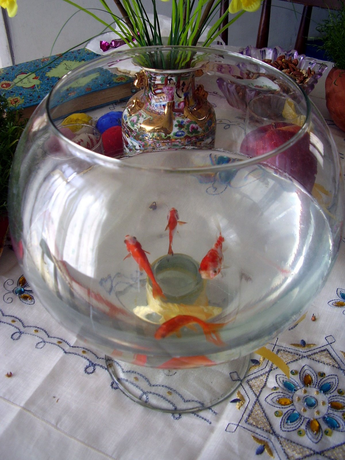 [nourouzP2200215.jpg]