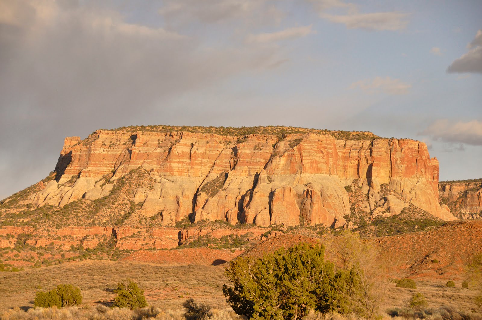 Wilford's Buying Journal Dowa Yalanee (Corn Mountain) Back from Zuni