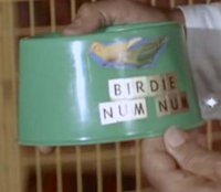 BirdyNumNum