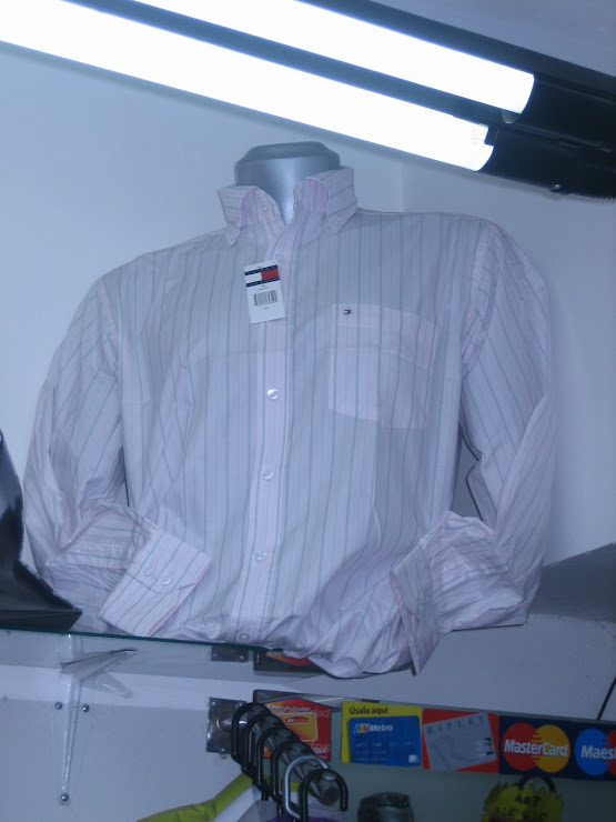 CAMISA TOMMY