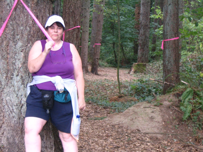 Following the ribbons