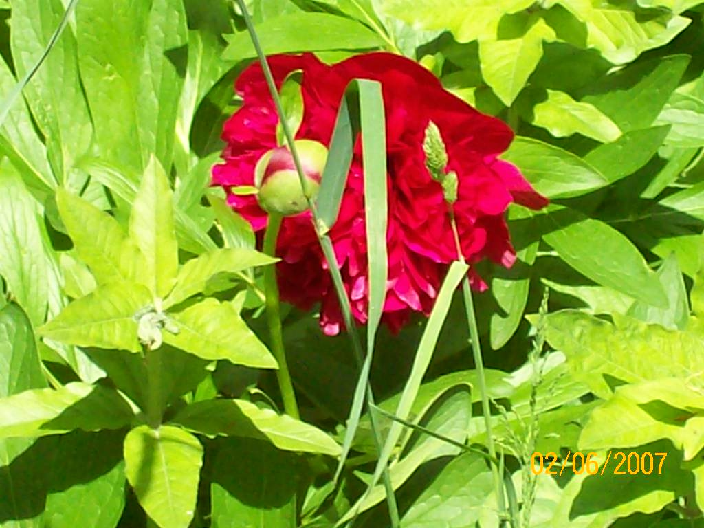 [000_0035.jpg]