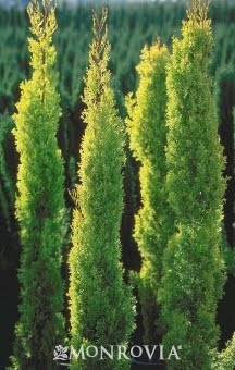 Colorado Garden Punch List April 2015