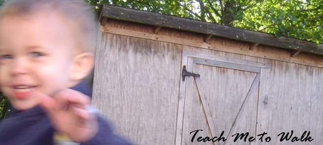 Teach Me to Walk