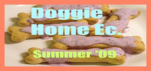 doggie home ec.