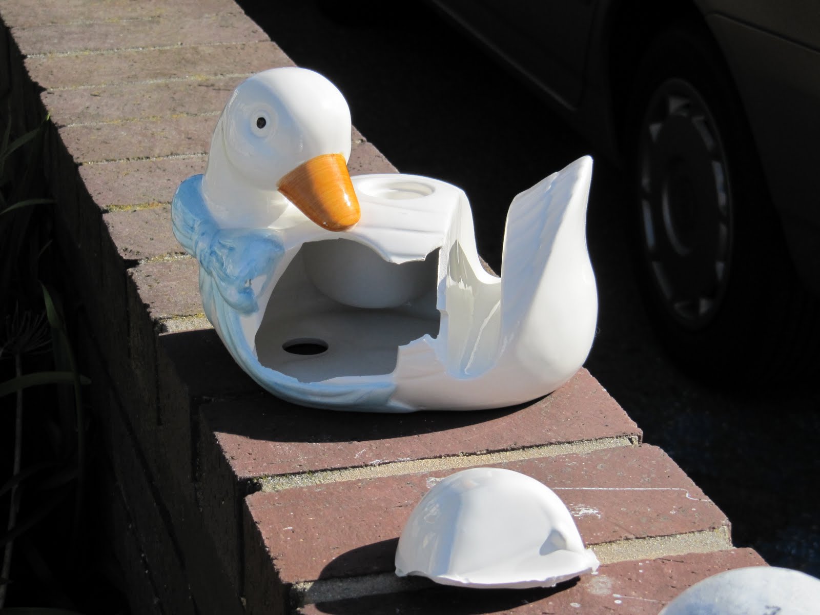 broken duck