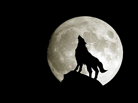 La Banque (Étang-Salé Les Hauts) Wolf+-+Full+Moon