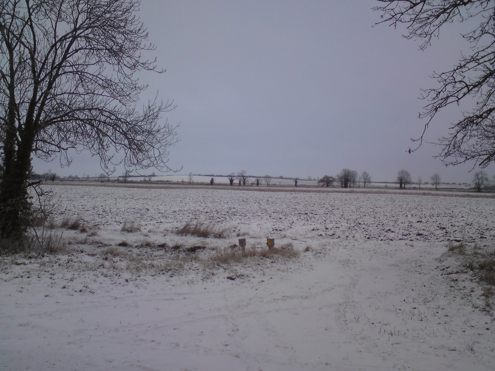 [DSC00609.JPG]