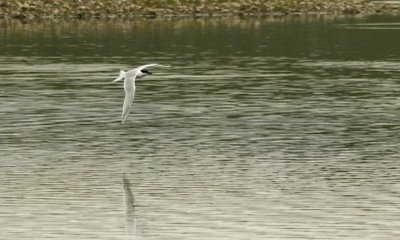 [Selection+(18).JPG]